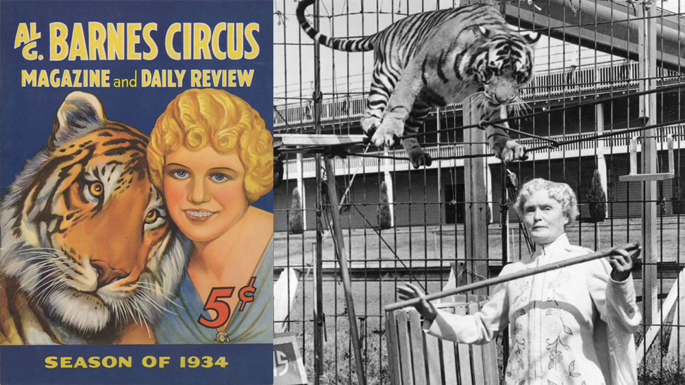 Mabel Stark Tiger Trainer Bill advertisement for Al G. Barnes circus with Mabel Stark drawn on
